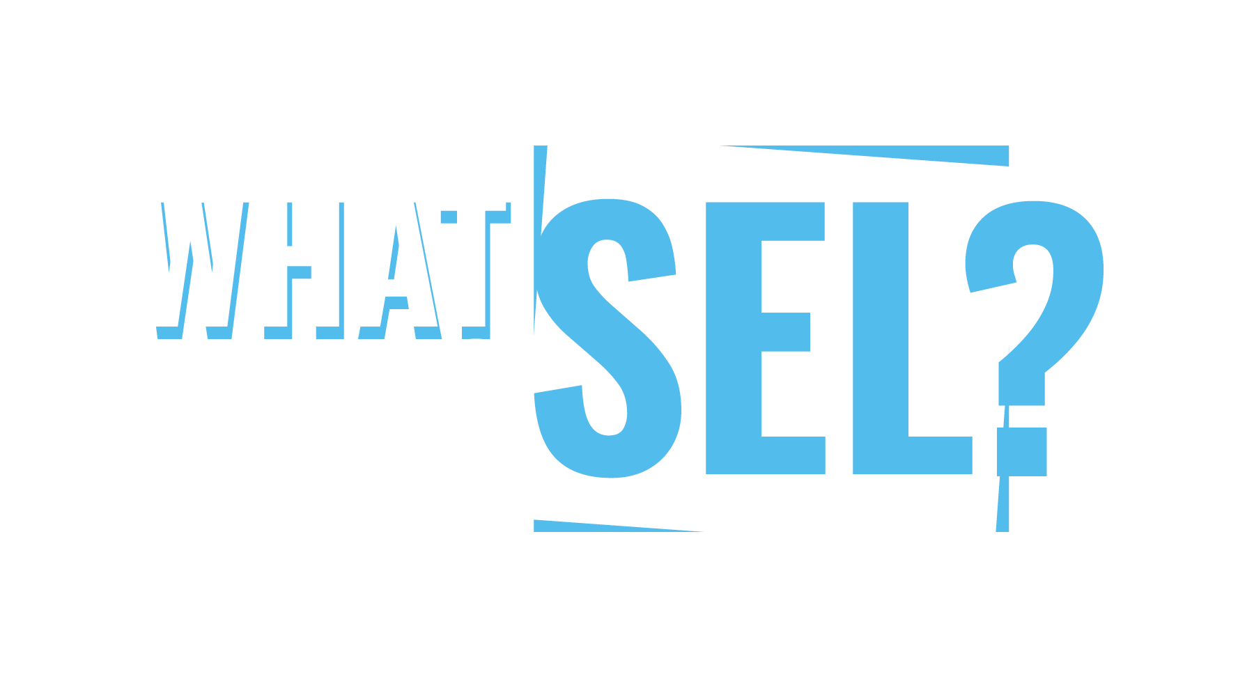 13801-What Is SEL-v1-02